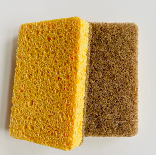 Coconut Fiber & Cellulose Sponge - 2 Pack